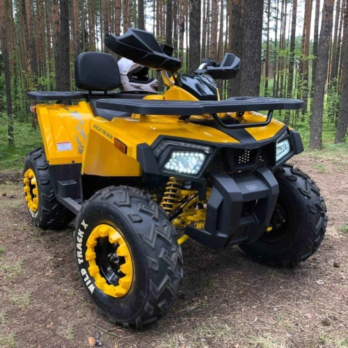 Квадроцикл MOTOLAND 200 Wild Track X 2586884