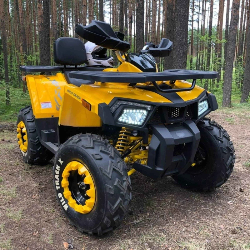 Квадроцикл MOTOLAND 200 Wild Track X 2586884