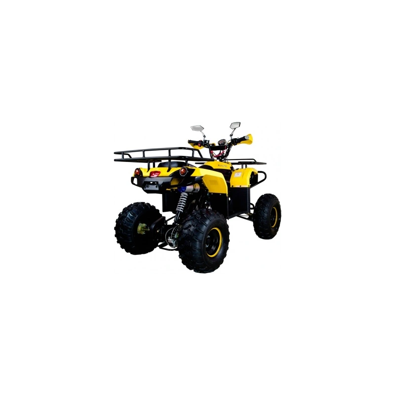 Квадроцикл AVANTIS Patriot M 2558643