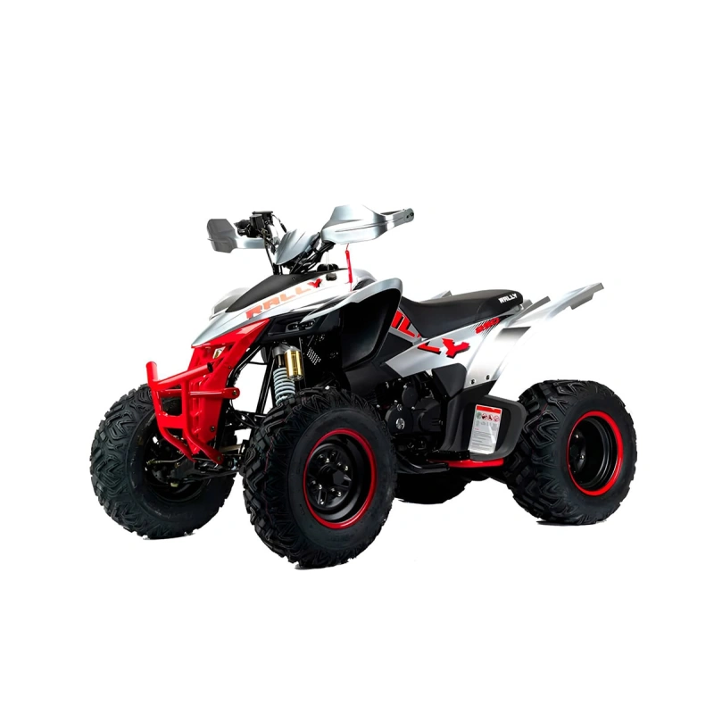Квадроцикл MOTOLAND Rally 250 2590762