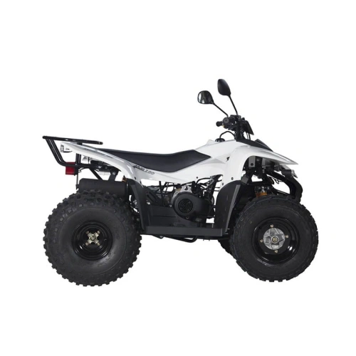 Квадроцикл BALTMOTORS Jam 100 2546407