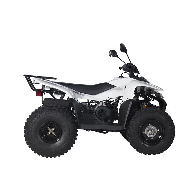Квадроцикл BALTMOTORS Jam 100 2546407