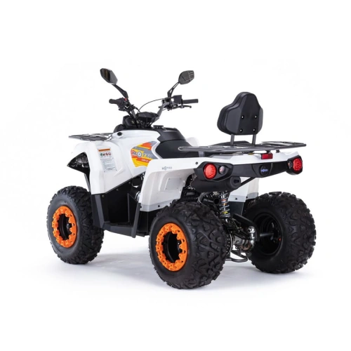 Квадроцикл MOTAX ATV Grizlik 200 Ultra