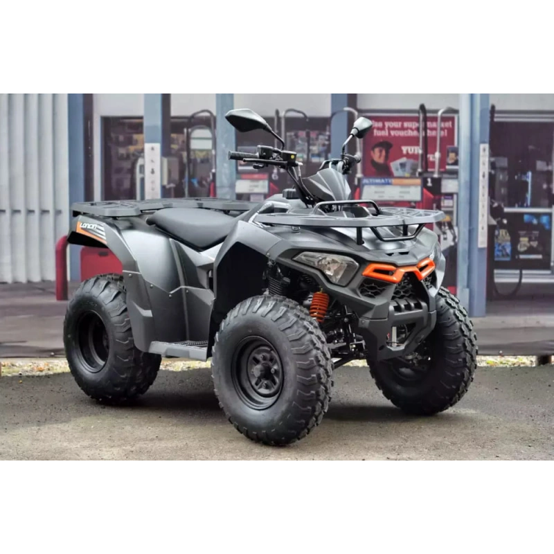 Квадроцикл LONCIN Overland 200 2574779