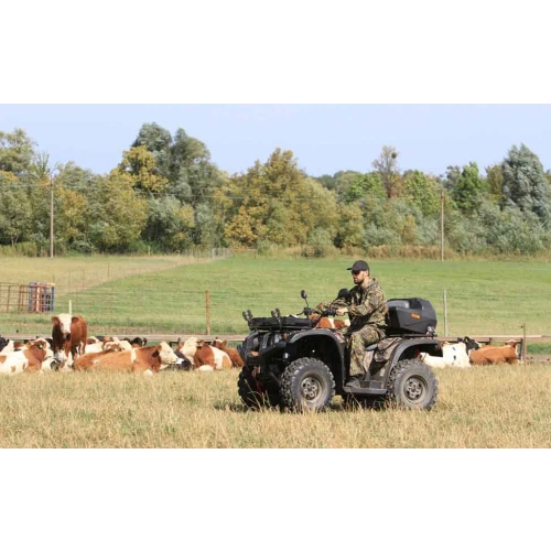 Квадроцикл BALTMOTORS Striker 700 EFI (ПСМ) 2546403