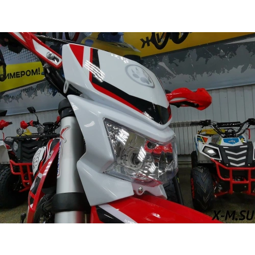 Питбайк IRBIS TTR 125R Pro Sport 2569752