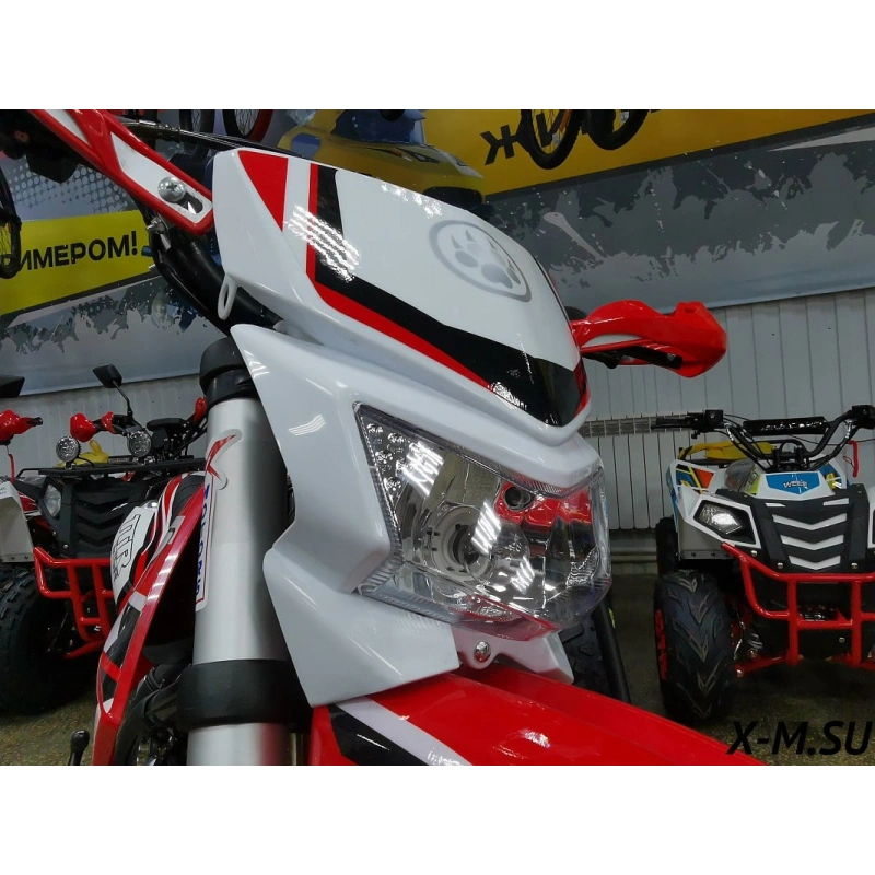 Питбайк IRBIS TTR 125R Pro Sport 2569752