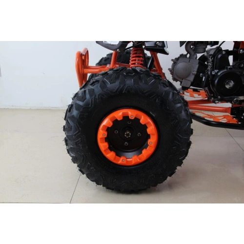 Квадроцикл MOTAX ATV T-Rex Super LUX 50 cc 2546487