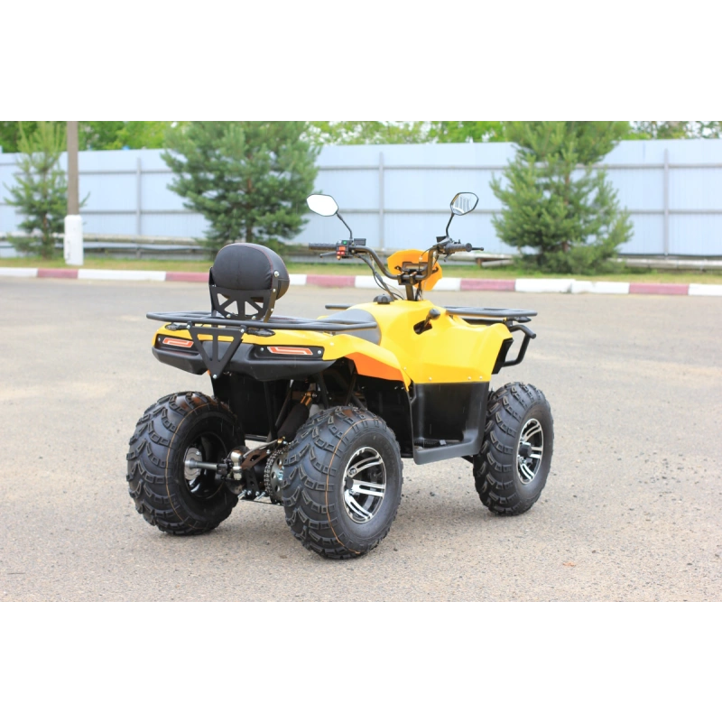 Квадроцикл IRBIS ATV200 Premium 2586881