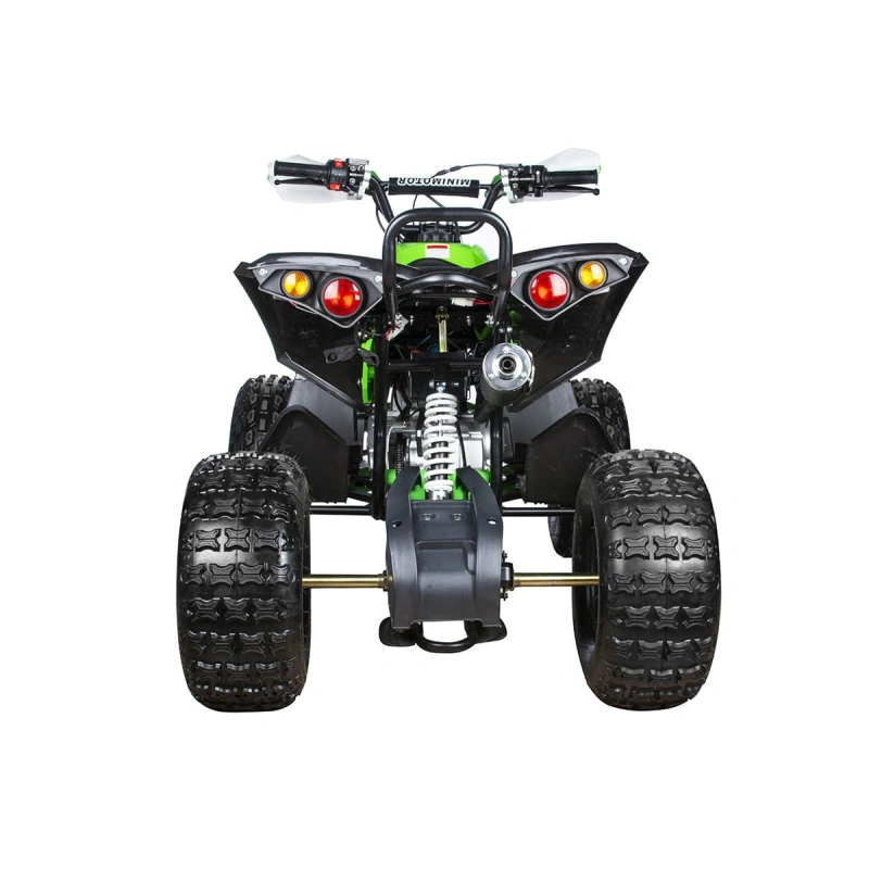Квадроцикл YACOTA Renegade 250901