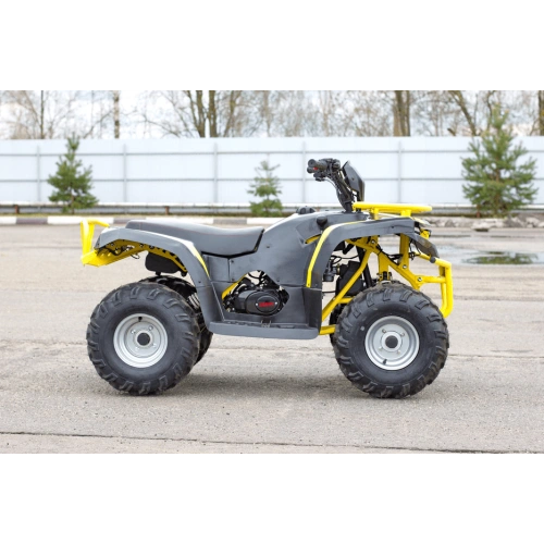 Квадроцикл IRBIS ATV 125 250039