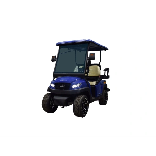 Гольфкар TРОЙКА M1S2