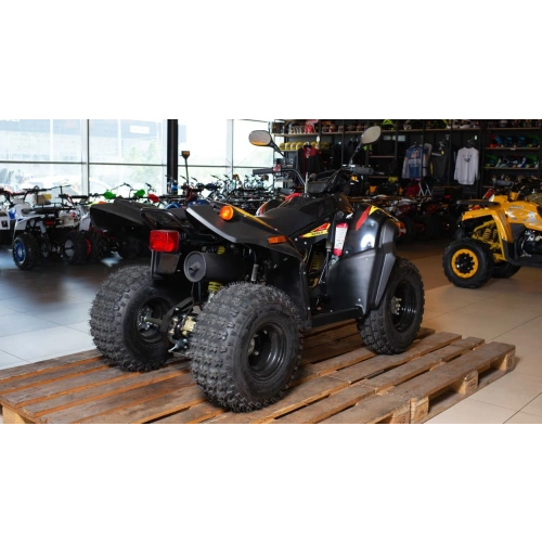 Квадроцикл STELS ATV 110A Hugo 248104