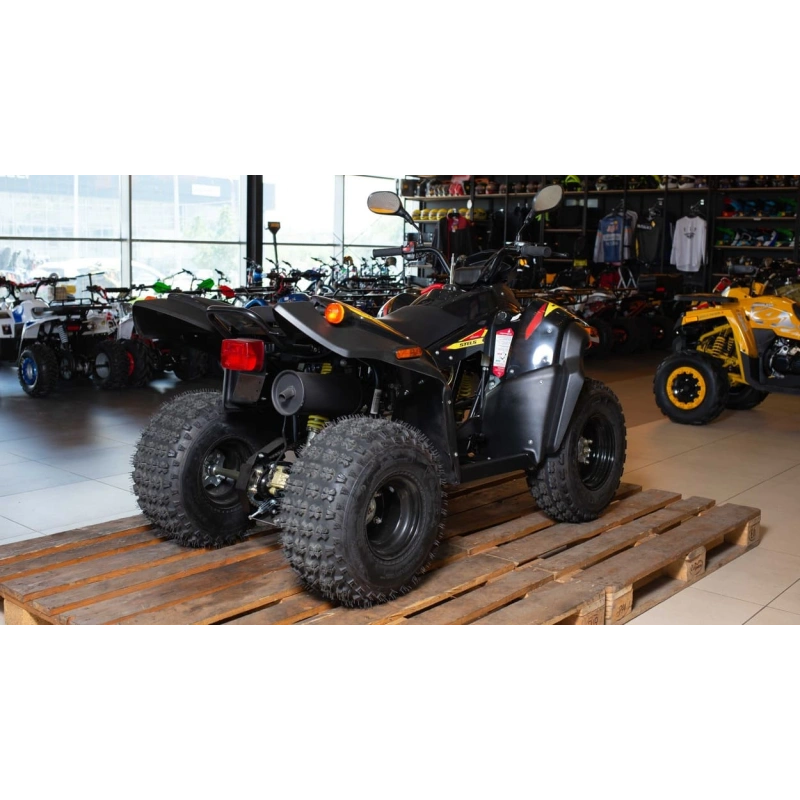 Квадроцикл STELS ATV 110A Hugo 248104