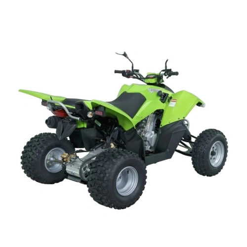 Квадроцикл SYM QuadRaider 300 SS 2574818