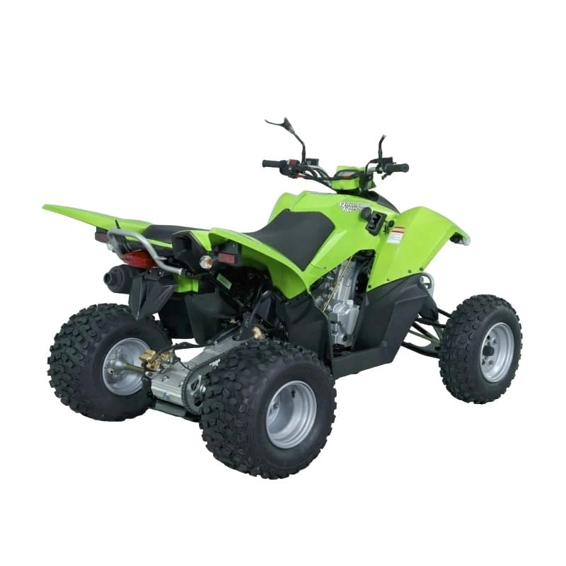 Квадроцикл SYM QuadRaider 300 SS 2574818