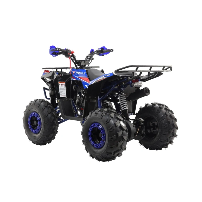 Квадроцикл MOTAX Grizlik A125