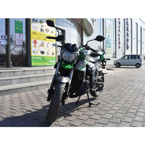 Мотоцикл REGULMOTO T-Leopard 300 2576296