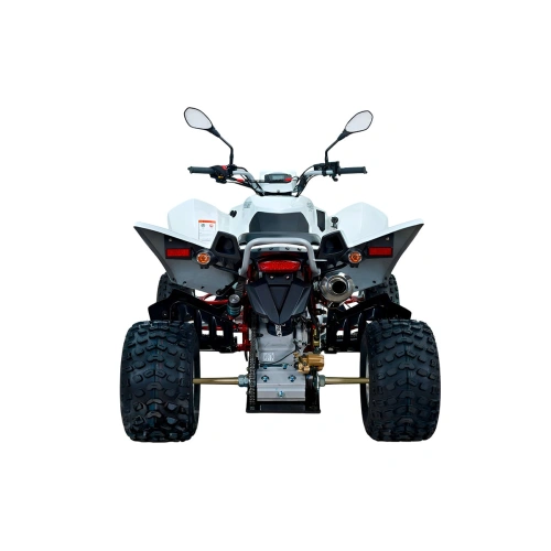 Квадроцикл SYM QuadRaider 450 2590768