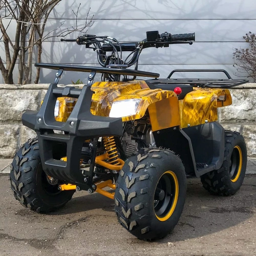 Квадроцикл YACOTA Smarty 110 248075