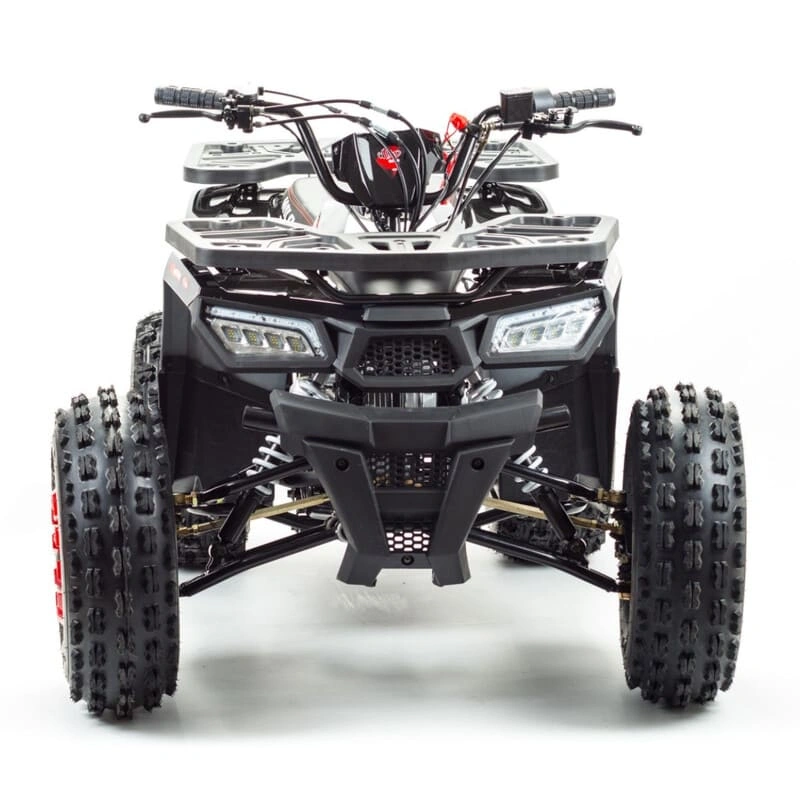 Квадроцикл MOTOLAND Wild 150