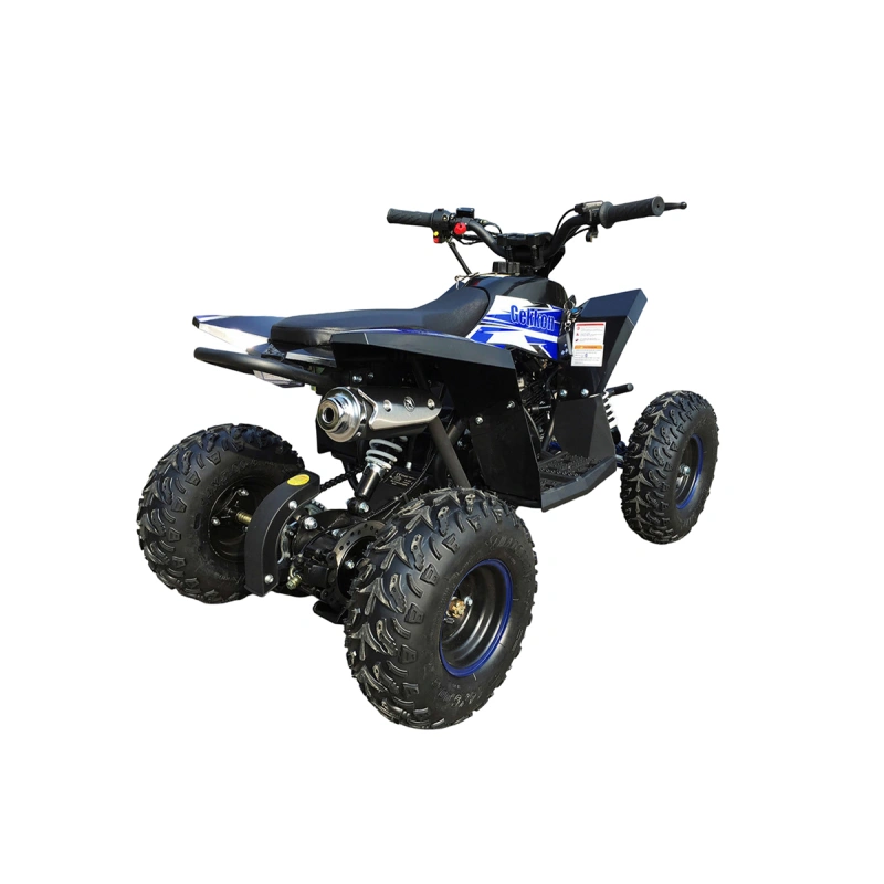 Квадроцикл MOTAX Gekkon 90cc