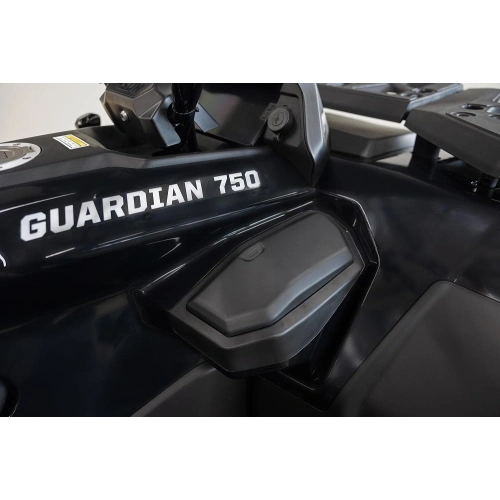 Квадроцикл HISUN Guardian 750S Short (ПСМ) 2588828