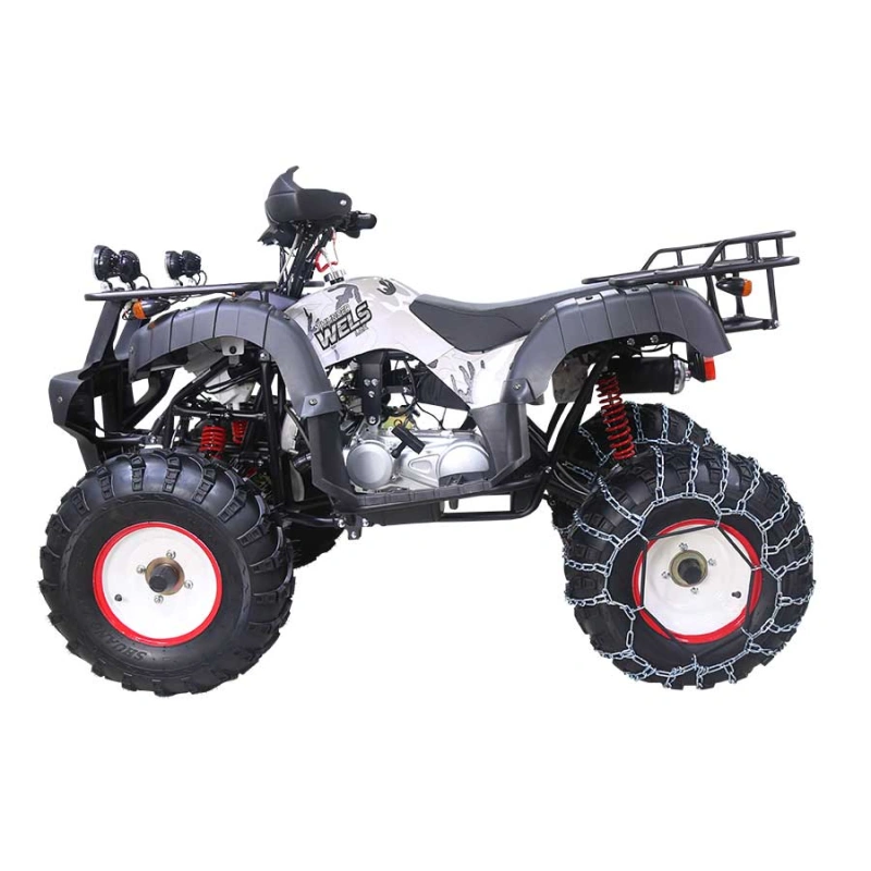 Квадроцикл WELS Thunder 200 Lux 2587281