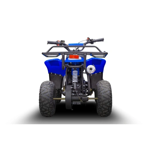 Квадроцикл TIGER 150 Universal RX 2587055