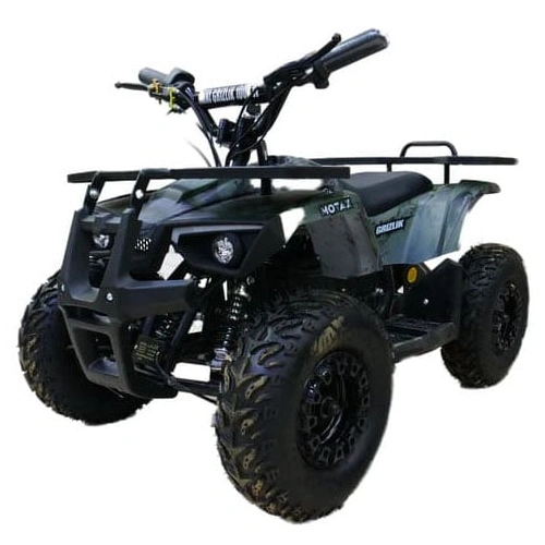 Электроквадроцикл MOTAX Grizlik X16 New E1000 Big Wheel