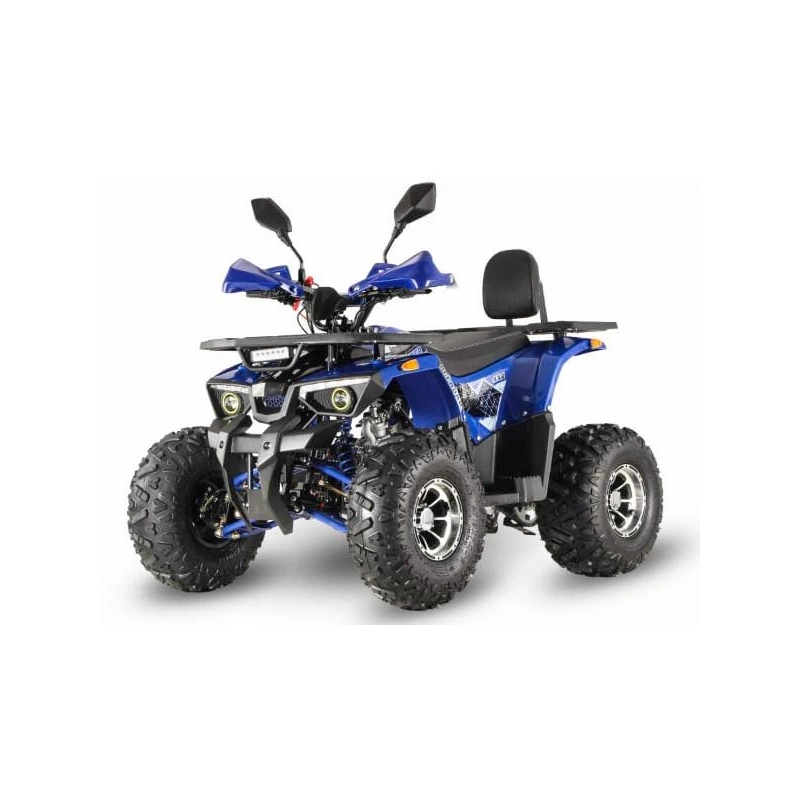 Квадроцикл GRIZZLY Aerox 125 2556389