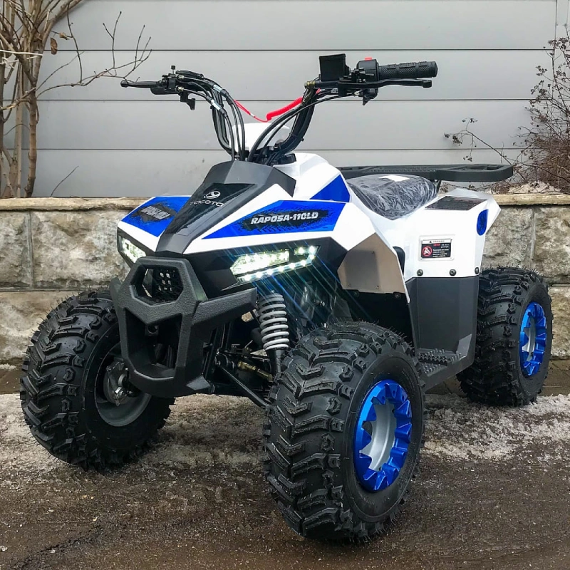 Квадроцикл YACOTA Raposa 248078