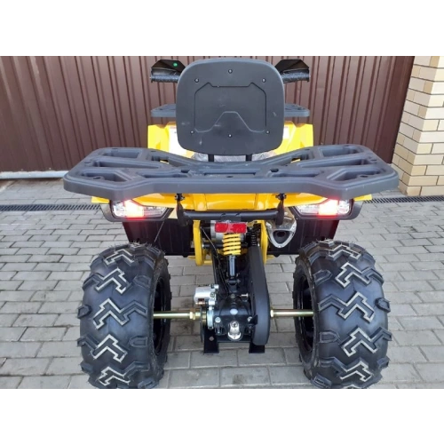 Квадроцикл MOTOLAND ATV 200 Wild Track 248051