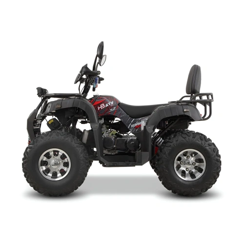 Квадроцикл GRIZZLY 200 Premium 2589193