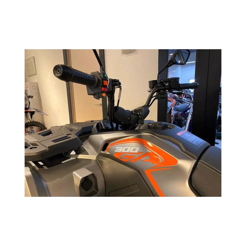Квадроцикл LONCIN Xwolf 300 Max 2587744
