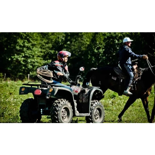 Квадроцикл BALTMOTORS Striker 700 EFI (ПСМ) 2546403