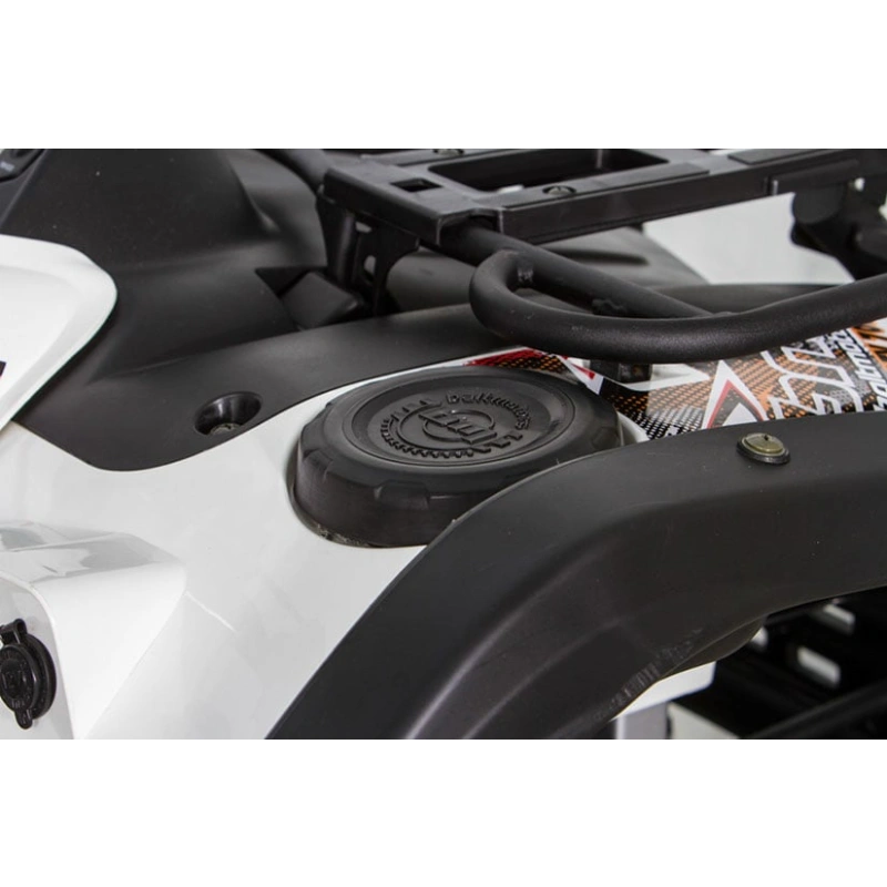 Квадроцикл BALTMOTORS Striker 500 EFI 2546402