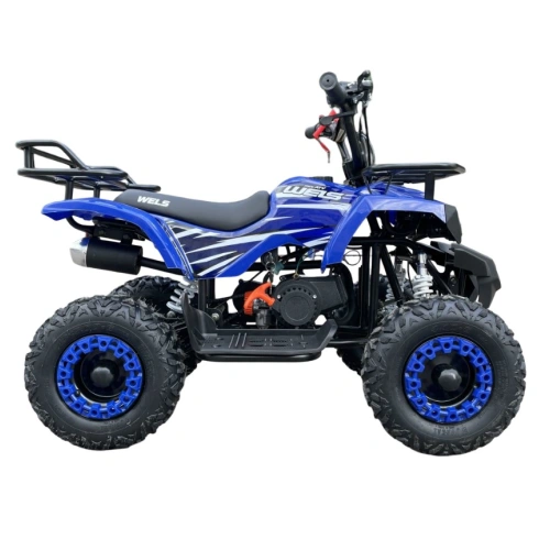 Квадроцикл WELS Thunder mini 2T