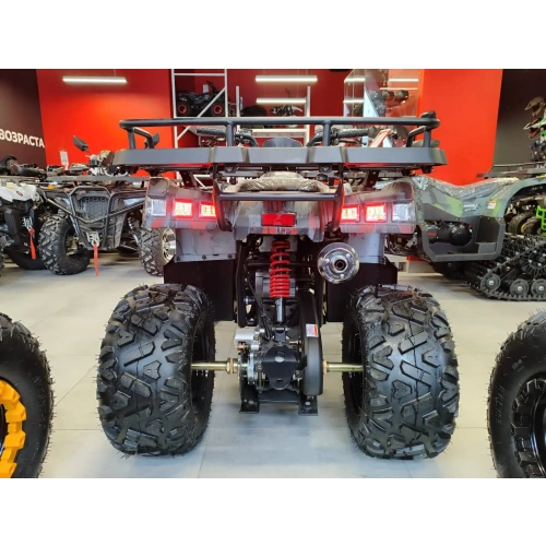Квадроцикл MOTAX Grizlik T 200