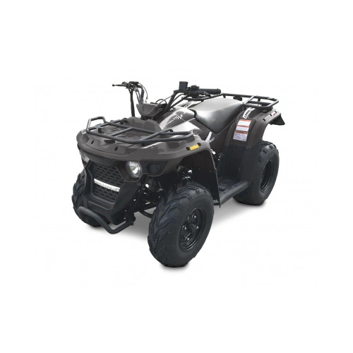 Квадроцикл LINHAI-YAMAHA M150 248042