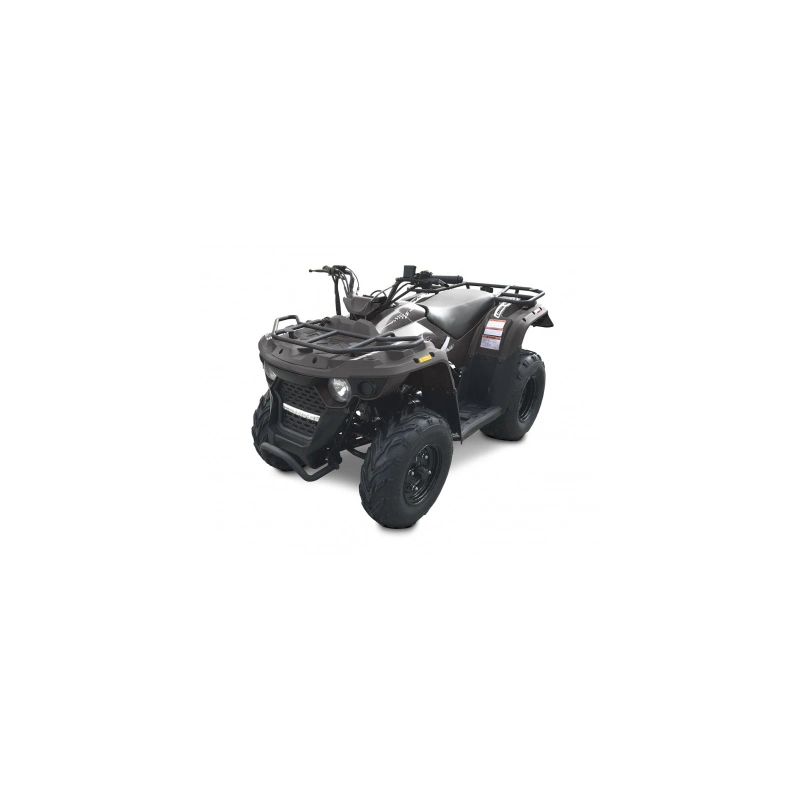 Квадроцикл LINHAI-YAMAHA M150 248042
