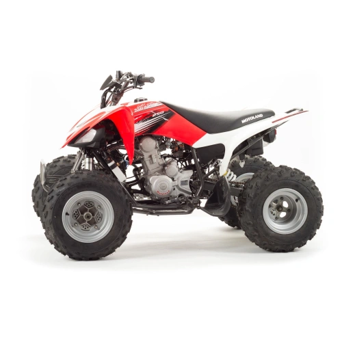 Квадроцикл MOTOLAND 250S 248046