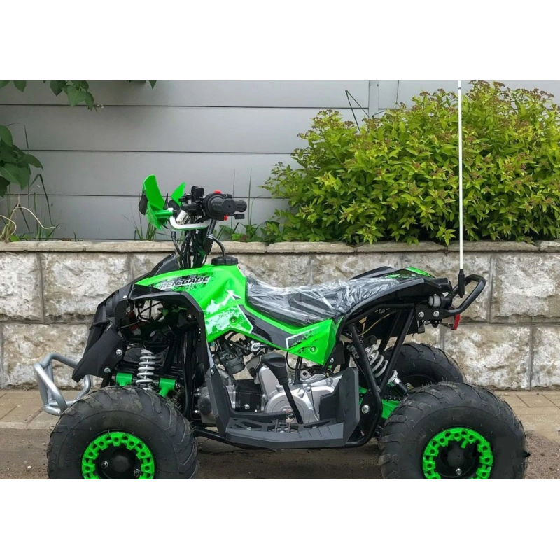Квадроцикл YACOTA Renegade Mini 250902