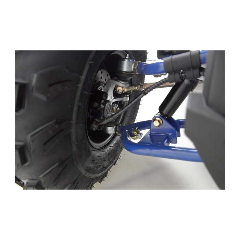 Квадроцикл WELS Thunder Evo 250390