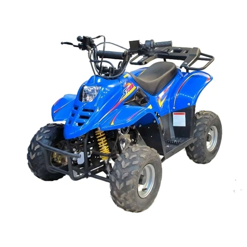 Квадроцикл BISON Super Mini 110