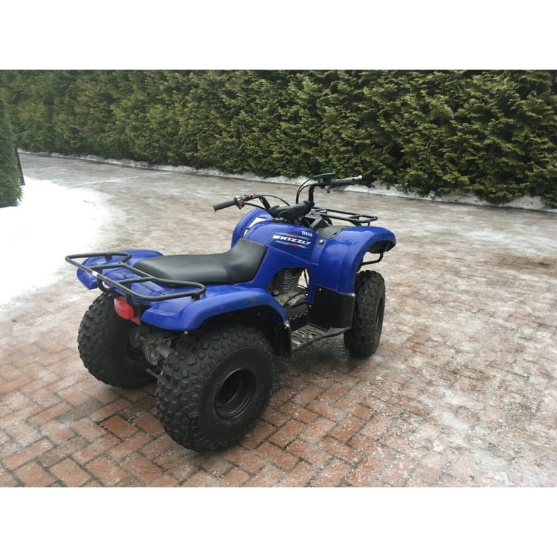 Квадроцикл GRIZZLY 125