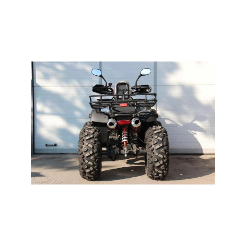 Квадроцикл GRIZZLY 250 2556380