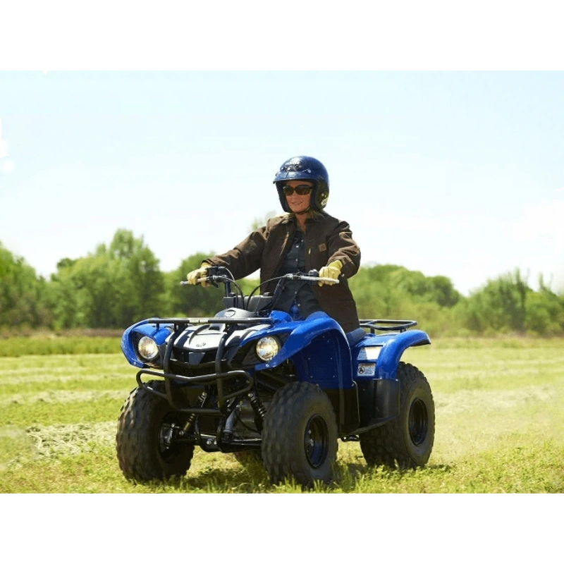 Квадроцикл GRIZZLY 125 2556394