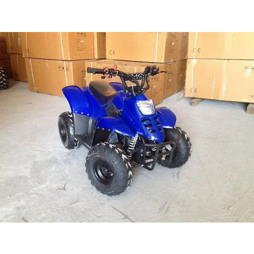 Квадроцикл RAPTOR 110