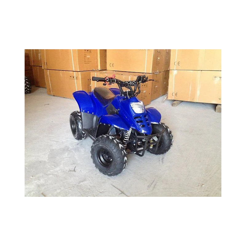 Квадроцикл RAPTOR 110